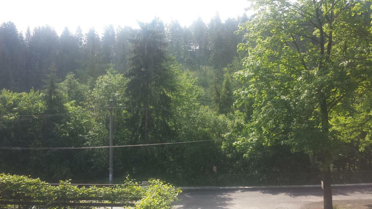 Alaska * Wisła
